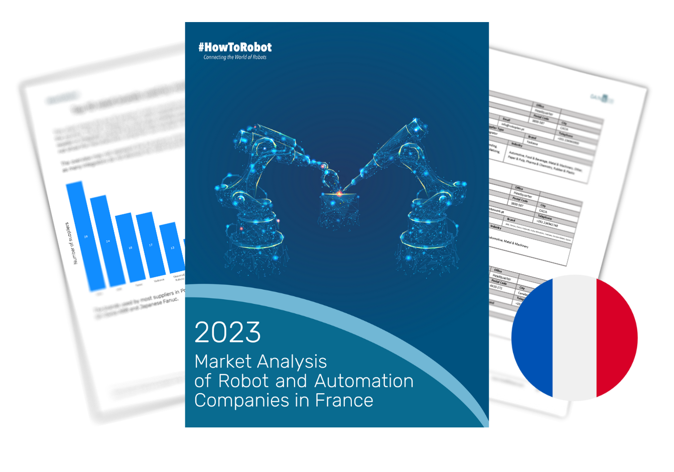Robot and Automation Companies in France HowToRobot